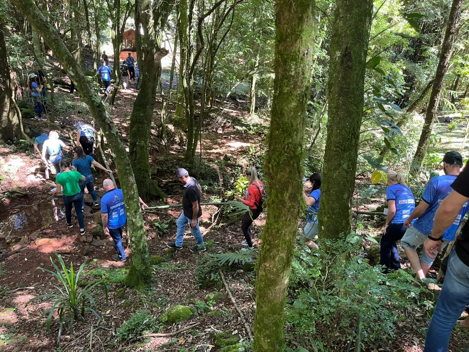 Visitantes na trilha do Ninho do Sabiá
